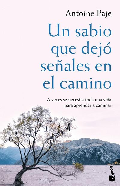 UN SABIO QUE DEJÓ SEÑALES EN EL CAMINO | 9788408166382 | PAJE,ANTOINE | Llibreria Geli - Llibreria Online de Girona - Comprar llibres en català i castellà