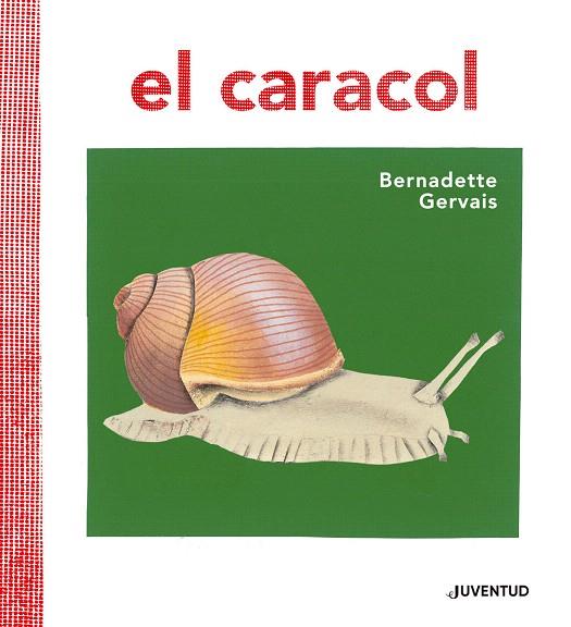 EL CARACOL | 9788426145673 | GERVAIS,BERNADETTE | Libreria Geli - Librería Online de Girona - Comprar libros en catalán y castellano
