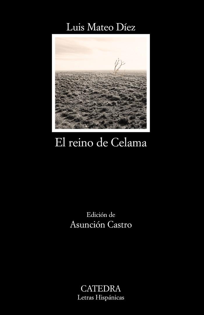 EL REINO DE CELAMA | 9788437634791 | MATEO DÍEZ,LUIS | Libreria Geli - Librería Online de Girona - Comprar libros en catalán y castellano