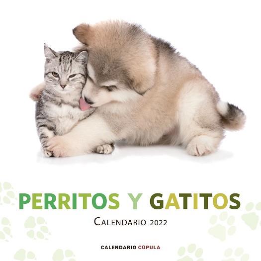 CALENDARIO PERRITOS Y GATITOS 2022 | 9788448028718 | AA. VV. | Libreria Geli - Librería Online de Girona - Comprar libros en catalán y castellano