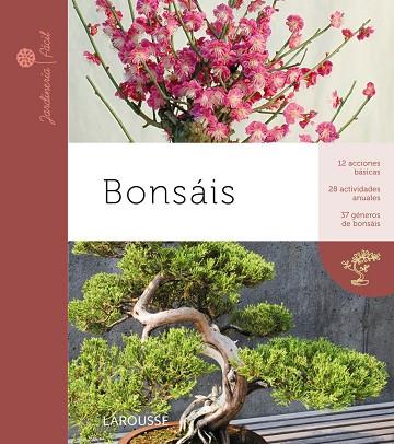 BONSAIS.12 ACCIONES BASICAS,28 ACTIVIDADES ANUALES,37 GENEROS DE BONSAIS | 9788415411369 | Llibreria Geli - Llibreria Online de Girona - Comprar llibres en català i castellà