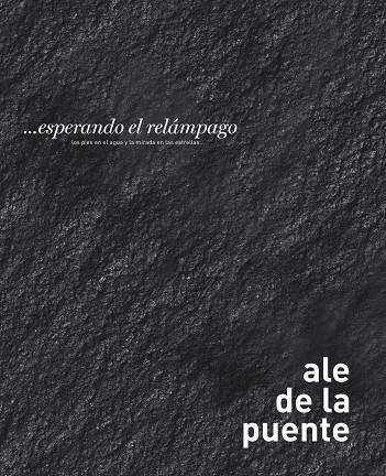ESPERANDO EL RELÁMPAGO | 9788417141042 | ALE,DE LA PUENTE | Llibreria Geli - Llibreria Online de Girona - Comprar llibres en català i castellà