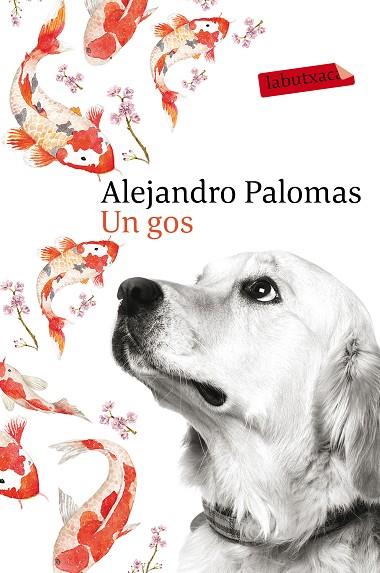 UN GOS | 9788416600625 | PALOMAS,ALEJANDRO | Llibreria Geli - Llibreria Online de Girona - Comprar llibres en català i castellà