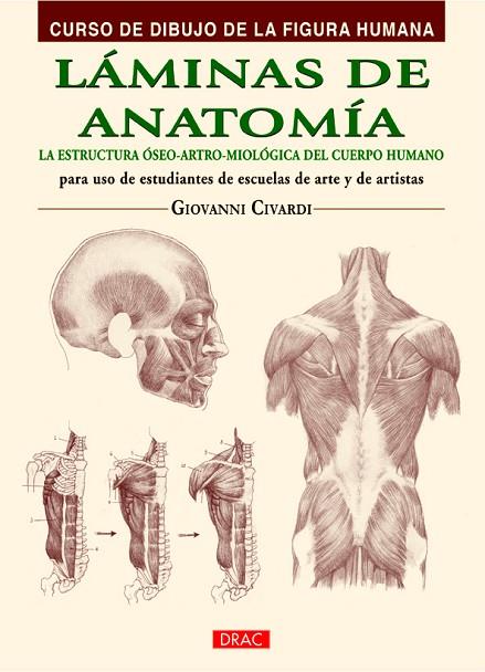 LÁMINAS DE ANATOMÍA | 9788498744798 | CIVARDI,GIOVANNI | Llibreria Geli - Llibreria Online de Girona - Comprar llibres en català i castellà
