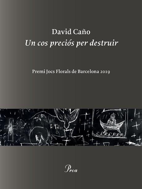 UN COS PRECIÓS PER DESTRUIR | 9788475887999 | CAÑO,DAVID | Llibreria Geli - Llibreria Online de Girona - Comprar llibres en català i castellà