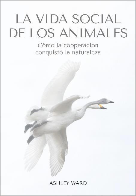 LA VIDA SOCIAL DE LOS ANIMALES | 9788412645491 | WARD,ASHLEY | Llibreria Geli - Llibreria Online de Girona - Comprar llibres en català i castellà