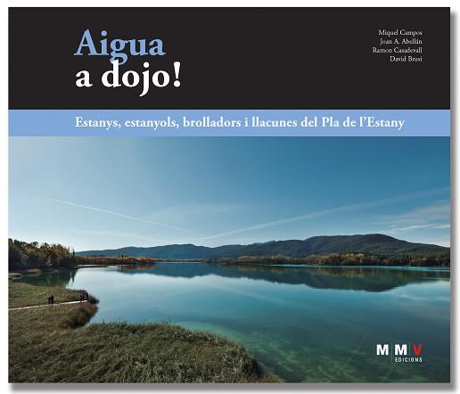 AIGUA A DOJO! | 9788409453924 | CAMPOS LLACH,MIQUEL/ABELLÁN MANONELLAS,JOAN ANTON | Llibreria Geli - Llibreria Online de Girona - Comprar llibres en català i castellà