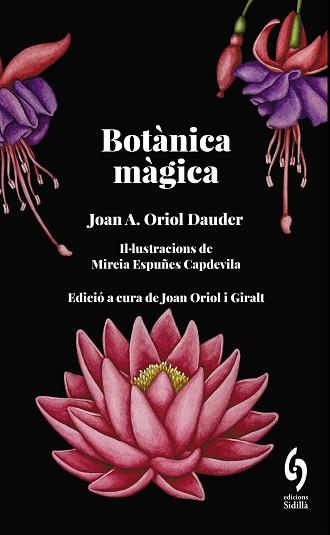 BOTÀNICA MÀGICA | 9788412730876 | ORIOL DAUDER,JOAN ANTON | Llibreria Geli - Llibreria Online de Girona - Comprar llibres en català i castellà
