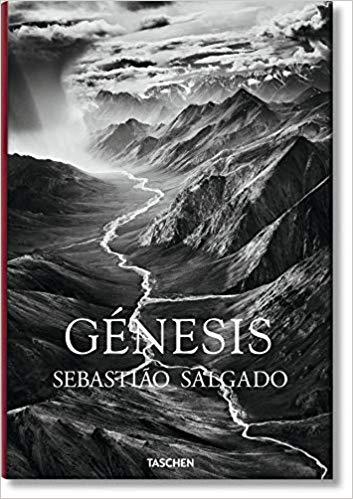 GENESIS(SEBASTIAO SALGADO) | 9783836542609 | SALGADO,SEBASTIAO | Libreria Geli - Librería Online de Girona - Comprar libros en catalán y castellano