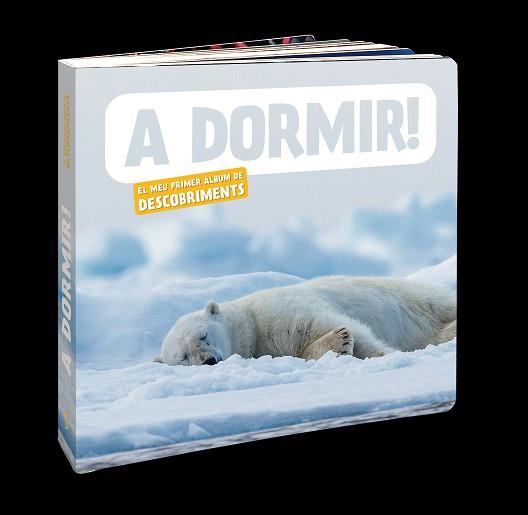 A DORMIR! (EDICIÓ EN CATALÀ) | 9788418762697 |   | Llibreria Geli - Llibreria Online de Girona - Comprar llibres en català i castellà