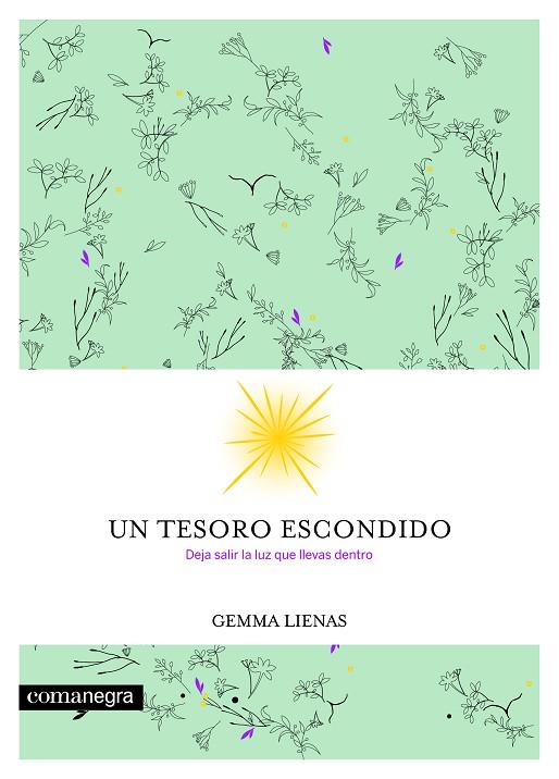 UN TESORO ESCONDIDO.DEJA SALIR LA LUZ QUE LLEVAS DENTRO | 9788416605354 | LIENAS,GEMMA | Llibreria Geli - Llibreria Online de Girona - Comprar llibres en català i castellà