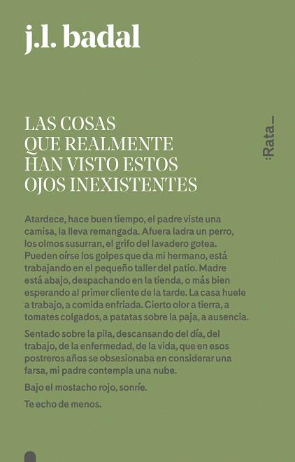 LAS COSAS QUE REALMENTE HAN VISTO ESTOS OJOS INEXISTENTES | 9788416738151 | BADAL,JOSEP LLUÍS | Llibreria Geli - Llibreria Online de Girona - Comprar llibres en català i castellà