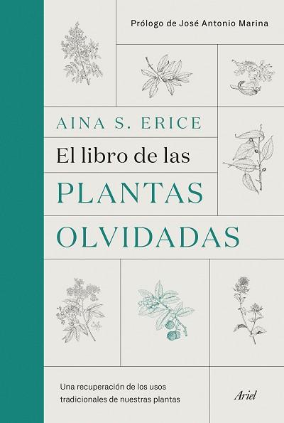 EL LIBRO DE LAS PLANTAS OLVIDADAS | 9788434431461 | ERICE,AINA S. | Llibreria Geli - Llibreria Online de Girona - Comprar llibres en català i castellà