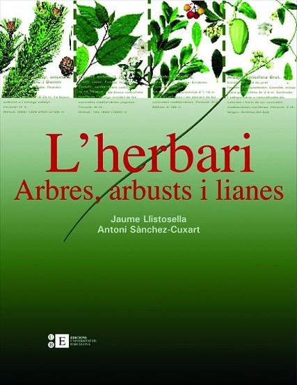 L'HERBARI.ARBRES,ABUSTS I LIANES | 9788483384220 | LLISTOSELLA,JAUME/SANCHEZ-CUXART,ANTONI | Llibreria Geli - Llibreria Online de Girona - Comprar llibres en català i castellà