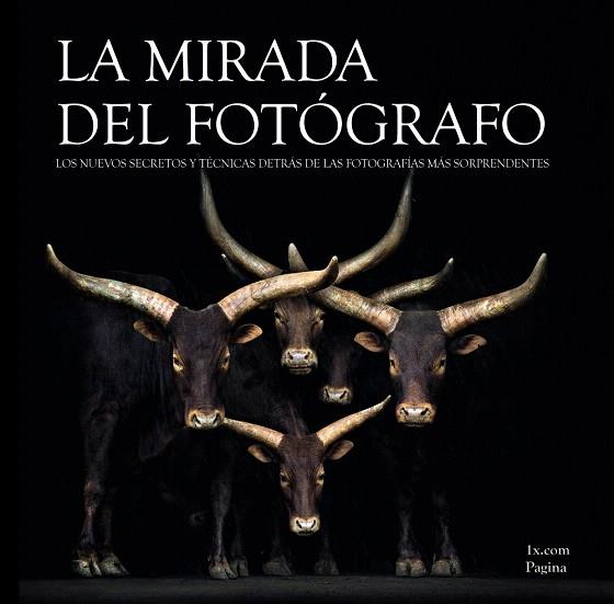 LA MIRADA DEL FOTÓGRAFO.LOS NUEVOS SECRETOS Y TECNICAS DETRAS DE LAS FOTOGRAFIAS MAS SORPRENDENTES | 9788441534254 |   | Llibreria Geli - Llibreria Online de Girona - Comprar llibres en català i castellà