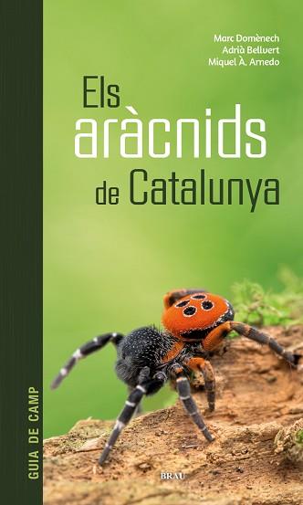 ELS ARÀCNIDS DE CATALUNYA | 9788418096686 | DOMÈNECH ANDREU,MARC/BELLVERT BANTÍ,ADRIÀ | Llibreria Geli - Llibreria Online de Girona - Comprar llibres en català i castellà