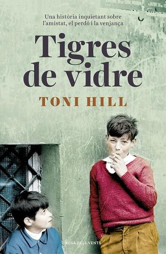 TIGRES DE VIDRE | 9788416930692 | HILL,TONI | Llibreria Geli - Llibreria Online de Girona - Comprar llibres en català i castellà