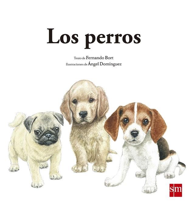 LOS PERROS | 9788467573923 | BORT MISOL,FERNANDO | Llibreria Geli - Llibreria Online de Girona - Comprar llibres en català i castellà