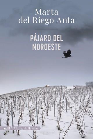 PÁJARO DEL NOROESTE  | 9788413620558 | DEL RIEGO,MARTA  | Llibreria Geli - Llibreria Online de Girona - Comprar llibres en català i castellà