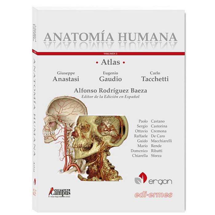 ATLAS DE ANATOMÍA HUMANA-2.CABEZA,CUELLO,TORAX(EDICION 2018) | 9788870515480 | ANASTASI,GIUSEPPE/GAUDIO,EUGENIO | Llibreria Geli - Llibreria Online de Girona - Comprar llibres en català i castellà