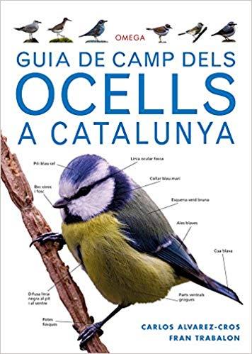 GUIA DE CAMP DELS OCELLS A CATALUNYA | 9788428216562 | ÁLVAREZ-CROS,CARLOS/TRABALÓN,FRAN | Libreria Geli - Librería Online de Girona - Comprar libros en catalán y castellano