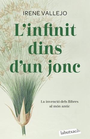 L'INFINIT DINS D'UN JONC | 9788419107121 | VALLEJO,IRENE | Llibreria Geli - Llibreria Online de Girona - Comprar llibres en català i castellà