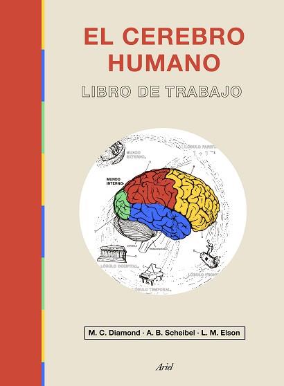 EL CEREBRO HUMANO.LIBRO DE TRABAJO | 9788434433601 | DIAMOND,MARIAN C./ELSON, LAWRENCE M./SCHEIBEL,A. B. | Llibreria Geli - Llibreria Online de Girona - Comprar llibres en català i castellà