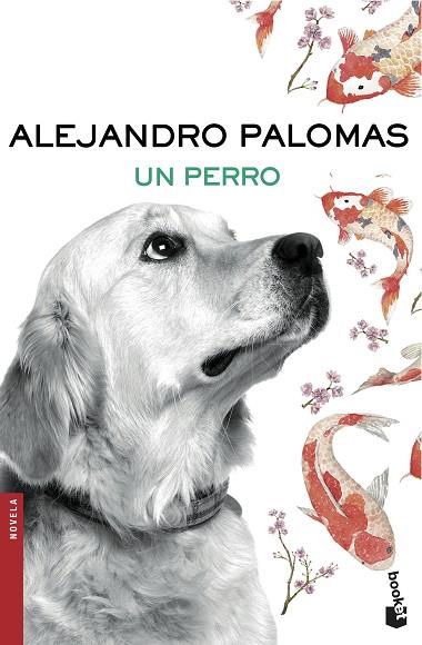 UN PERRO | 9788423351862 | PALOMAS,ALEJANDRO | Llibreria Geli - Llibreria Online de Girona - Comprar llibres en català i castellà
