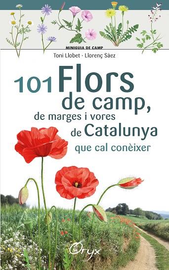 101 FLORS DE CAMP,DE MARGES I VORES DE CATALUNYA QUE CAL CONÈIXER | 9788490348413 | LLOBET FRANÇOIS,TONI/SÀEZ GOÑALONS,LLORENÇ | Llibreria Geli - Llibreria Online de Girona - Comprar llibres en català i castellà
