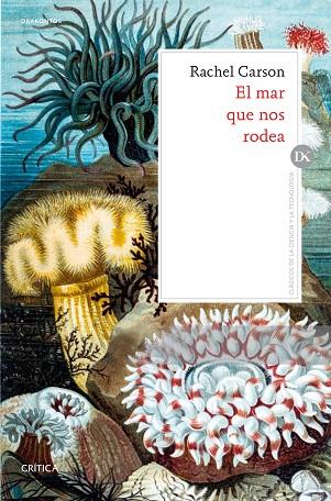 EL MAR QUE NOS RODEA | 9788491991069 | CARSON,RACHEL | Llibreria Geli - Llibreria Online de Girona - Comprar llibres en català i castellà
