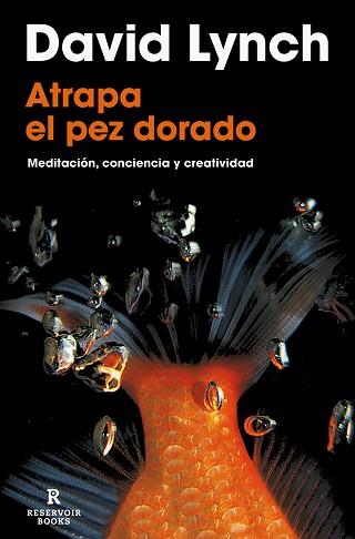 ATRAPA EL PEZ DORADO | 9788418897436 | LYNCH, DAVID | Llibreria Geli - Llibreria Online de Girona - Comprar llibres en català i castellà