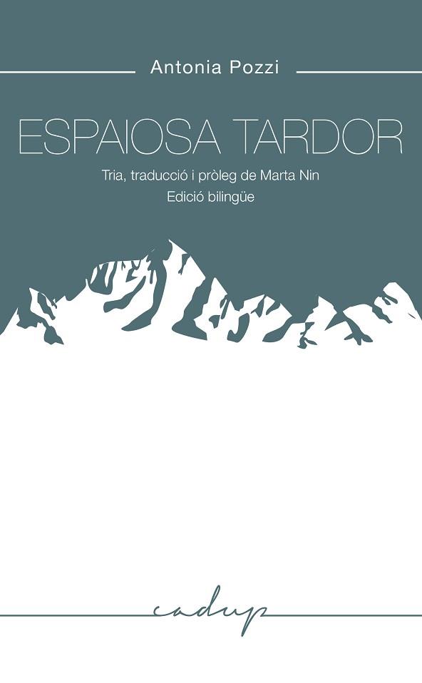 ESPAIOSA TARDOR | 9788412307214 | POZZI,ANTONIA | Llibreria Geli - Llibreria Online de Girona - Comprar llibres en català i castellà