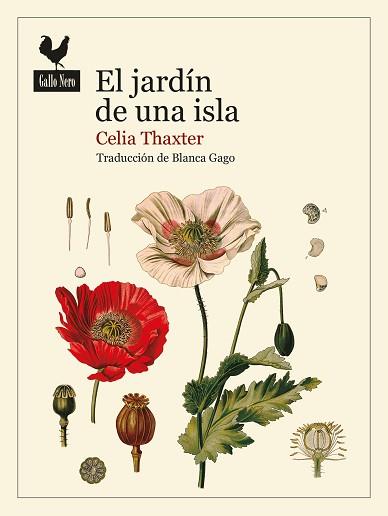 EL JARDÍN DE UNA ISLA | 9788419168139 | THAXTER,CELIA | Llibreria Geli - Llibreria Online de Girona - Comprar llibres en català i castellà