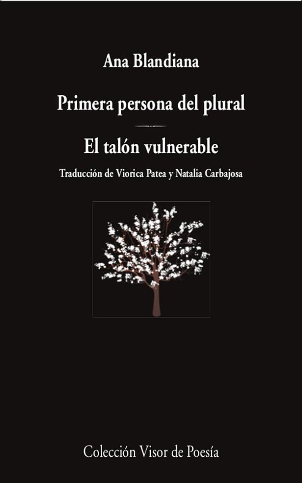 PRIMERA PERSONA DEL PLURAL/EL TALÓN VULNERABLE | 9788498954418 | BLANDIANA,ANA | Llibreria Geli - Llibreria Online de Girona - Comprar llibres en català i castellà