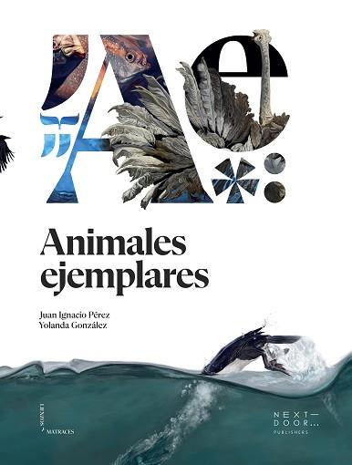 ANIMALES EJEMPLARES | 9788412159899 | PÉREZ IGLESIAS,JUAN IGNACIO | Llibreria Geli - Llibreria Online de Girona - Comprar llibres en català i castellà