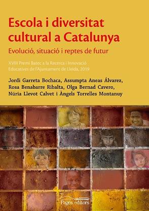 ESCOLA I DIVERSITAT  CULTURAL A CATALUNYA.EVOLUCIÓ,SITUACIÓ I REPTES DE FUTUR | 9788413032917 | A.A.D.D. | Llibreria Geli - Llibreria Online de Girona - Comprar llibres en català i castellà
