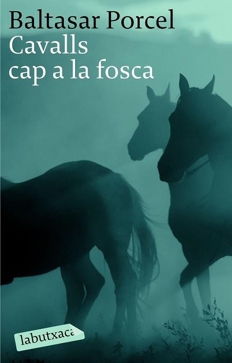 CAVALLS CAP A LA FOSCA | 9788496863040 | PORCEL,BALTASAR | Libreria Geli - Librería Online de Girona - Comprar libros en catalán y castellano