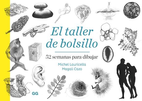 EL TALLER DE BOLSILLO.52 SEMANAS PARA DIBUJAR | 9788425232107 | LAURICELLA,MICHEL/CAZO,MAGALI | Llibreria Geli - Llibreria Online de Girona - Comprar llibres en català i castellà