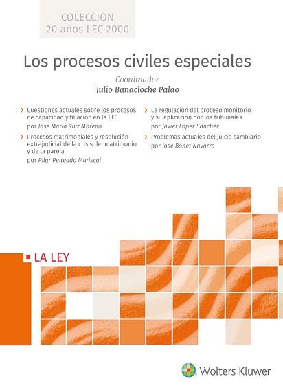 LOS PROCESOS CIVILES ESPECIALES | 9788490207970 | BANACLOCHE PALAO,JULIO | Llibreria Geli - Llibreria Online de Girona - Comprar llibres en català i castellà