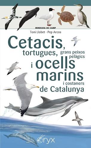 CETACIS,TORTUGUES,GRANS PEIXOS PELÀGICS I OCELLS MARINS DE CATALUNYA | 9788490349441 | LLOBET FRANÇOIS,TONI/ARCOS,PEP | Llibreria Geli - Llibreria Online de Girona - Comprar llibres en català i castellà