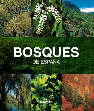 BOSQUES DE ESPAÑA | 9788497857482 | ARAÚJO,JOAQUIN | Llibreria Geli - Llibreria Online de Girona - Comprar llibres en català i castellà