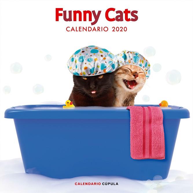 CALENDARIO FUNNY CATS 2020 | 9788448026141 | Llibreria Geli - Llibreria Online de Girona - Comprar llibres en català i castellà