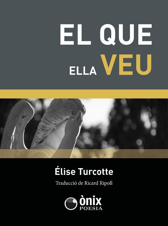 EL QUE ELLA VEU | 9788412151909 | TURCOTTE,ELISE | Llibreria Geli - Llibreria Online de Girona - Comprar llibres en català i castellà
