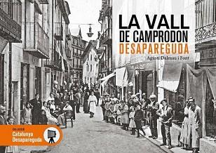 LA VALL DE CAMPRODÓN DESAPAREGUDA | 9788417432805 | DALMAU FONT,AGUSTÍ | Llibreria Geli - Llibreria Online de Girona - Comprar llibres en català i castellà