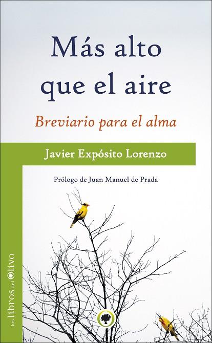MAS ALTO QUE EL AIRE | 9788494170423 | EXPOSITO LORENZO,JAVIER | Llibreria Geli - Llibreria Online de Girona - Comprar llibres en català i castellà