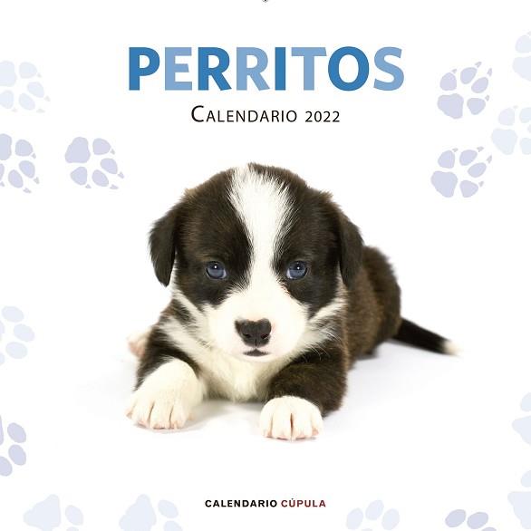 CALENDARIO PERRITOS 2022 | 9788448028701 | AA. VV. | Llibreria Geli - Llibreria Online de Girona - Comprar llibres en català i castellà