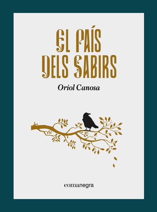 EL PAÍS DELS SABIRS | 9788418857799 | CANOSA,ORIOL | Llibreria Geli - Llibreria Online de Girona - Comprar llibres en català i castellà