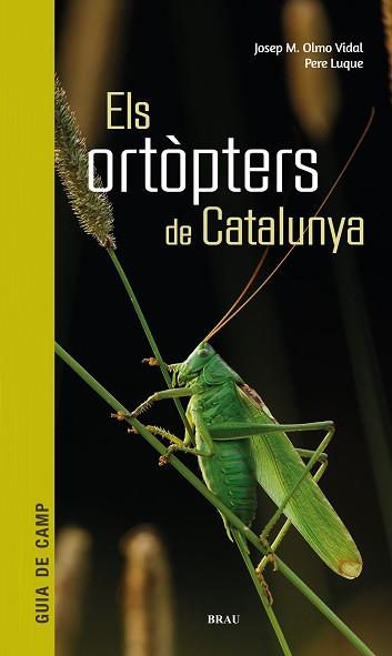 ELS ORTÒPTERS DE CATALUNYA | 9788418096266 | OLMO VIDAL,JOSEP M/LUQUE PINO,PERE | Llibreria Geli - Llibreria Online de Girona - Comprar llibres en català i castellà