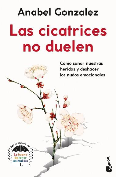 LAS CICATRICES NO DUELEN | 9788408262343 | GONZALEZ,ANABEL | Llibreria Geli - Llibreria Online de Girona - Comprar llibres en català i castellà