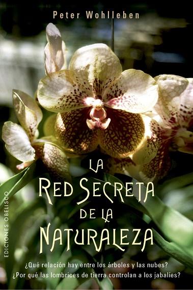 LA RED SECRETA DE LA NATURALEZA | 9788491114192 | WOHLLEBEN,PETER | Llibreria Geli - Llibreria Online de Girona - Comprar llibres en català i castellà